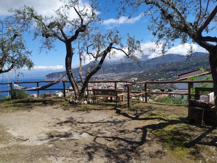 Sorrento Pacific Hill Daire Dış mekan fotoğraf